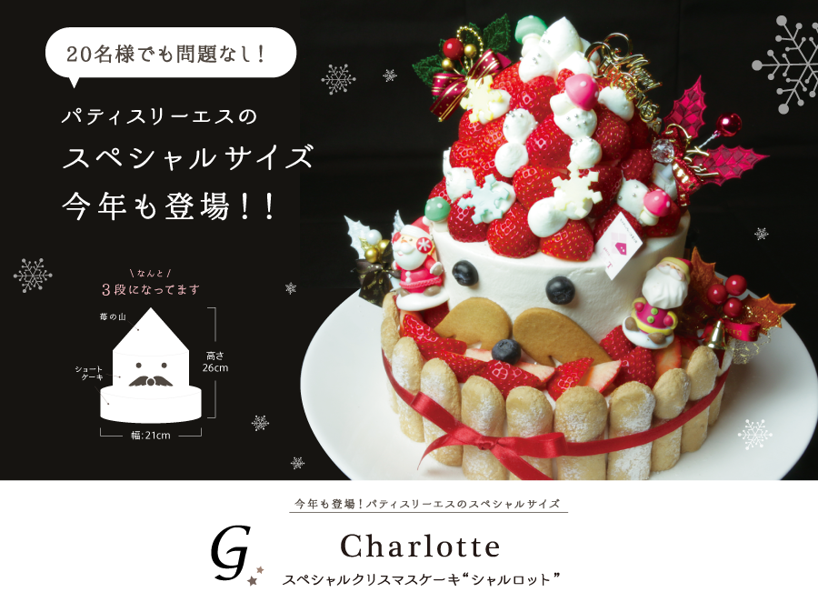 スペシャルクリスマスケーキ“シャルロット”